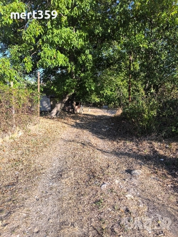 продавам вили близо до aквапарк, снимка 6 - Вили - 51782244