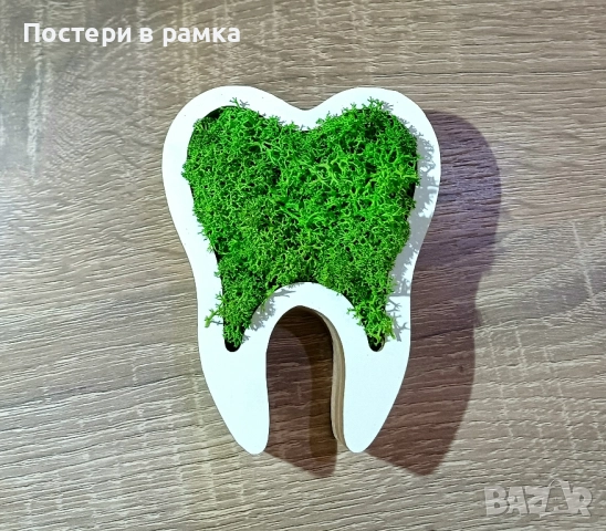 Зъбче със скандинавски мъх 