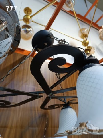 полилей , снимка 2 - Полилеи - 43611635