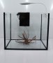 Нано аквариум 40 литра ОБОРУДВАН и подарък корен, снимка 1 - Аквариуми - 35605245