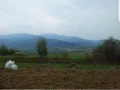 земеделска земя и градина, снимка 2