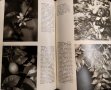 Иллюстрированная энциклопедия растений. Четвертое издание. Ф. А. Новак 1987г., снимка 2