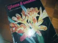 ЦВЕТЯ В СТАЯТА-КНИГА 0310241021, снимка 3