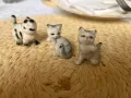 Порцеланови котета-3 броя, снимка 3