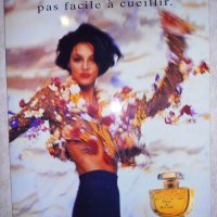Рекламно пано на Caron - Fleur de Rocaille 70 x 50 см, снимка 1 - Пана - 28753445