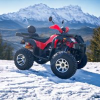 Бензиново ATV 200cc MaxMotors Grizzly PRO - RED, снимка 1 - Мотоциклети и мототехника - 38231039