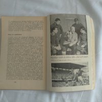 Книжка за осмо световното първенство по футбол в Англия 1966 година със снимки , коментари , снимка 13 - Футбол - 37706667