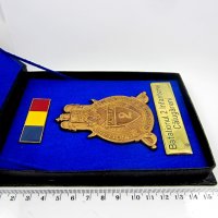 Министерство на отбраната-Румъния-Почетен медал-Пехотен батальон, снимка 5 - Нумизматика и бонистика - 27365522