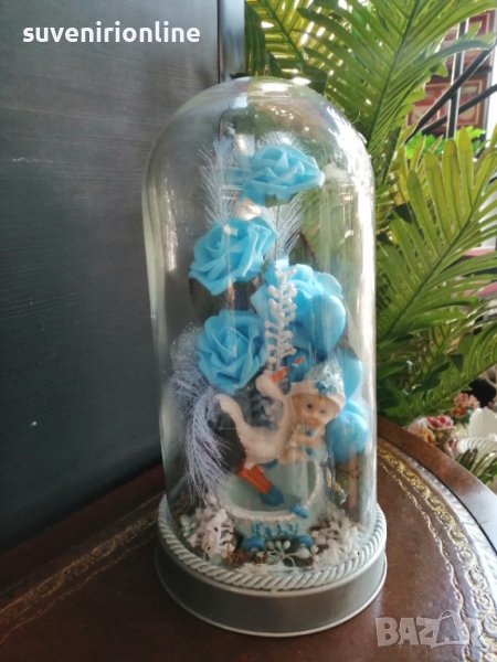 Терариум, снимка 1