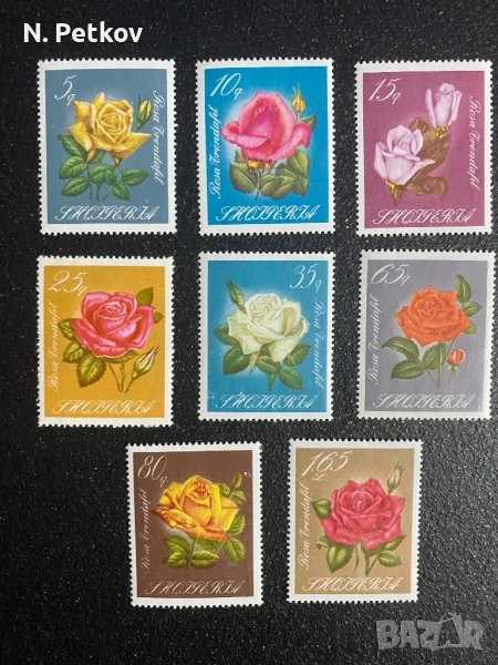 Албания, Рози, снимка 1