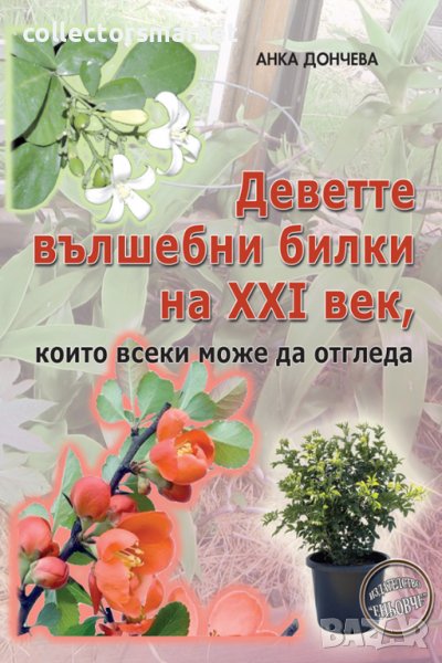 Деветте вълшебни билки на XXI век, които всеки може да отгледа, снимка 1
