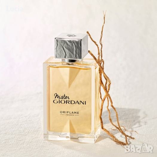 Тоалетна вода Mister Giordani  75  мл, снимка 1