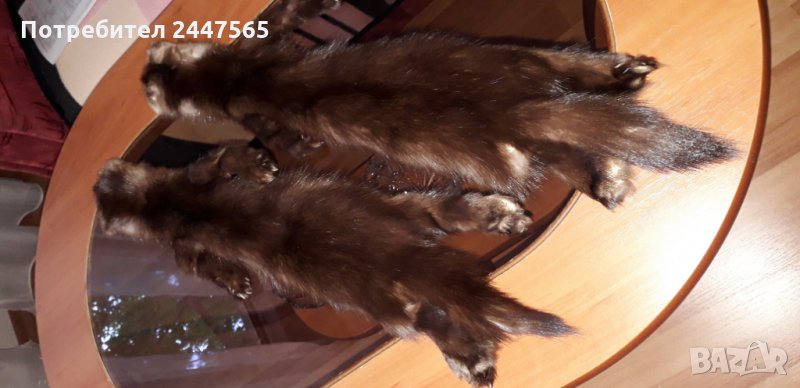 Кожи от самур, снимка 1