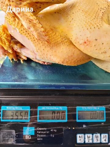 Домашно отгледани кокошки и петли, снимка 3 - Домашни продукти - 52512551