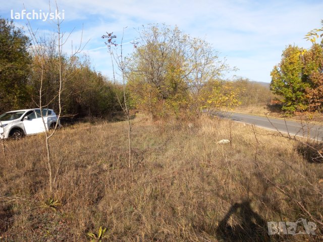 Продава имот село костенец