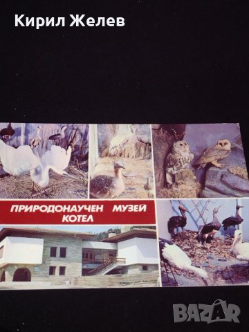 Две стари картички Природонаучен музей Котел, Национален парк музей Шипка 41656, снимка 4 - Колекции - 43099983