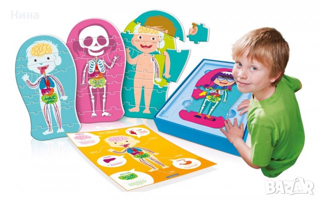 Пъзел с човешкото тяло 