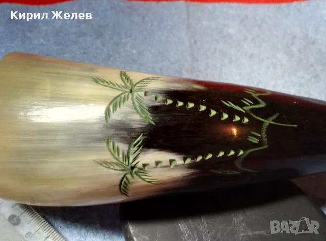 Стар БИВОЛСКИ РОГ РЪЧНО ГРАВИРАН с ПАЛМИ За КОЛЕКЦИЯ ДЕКОРАЦИЯ ДОМАШНА УКРАСА 47836, снимка 11 - Колекции - 47971872