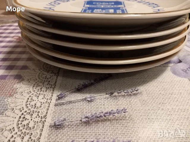 Порцеланова чиния община Нови Искър , снимка 5 - Чинии - 47751965