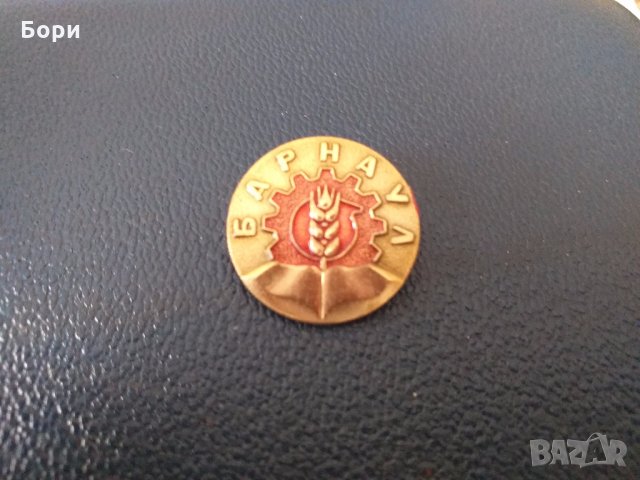 Значка БАРНАУЛ  СССР, снимка 3 - Други ценни предмети - 28008314