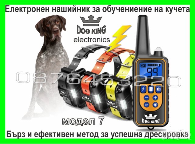 Електронен нашийник за куче , снимка 5 - За кучета - 41461853