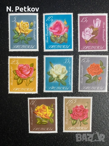 Албания, Рози