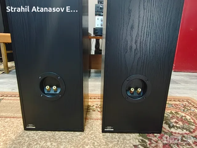 Visaton ALTO II Двулентови Тонколони, снимка 17 - Тонколони - 50282271