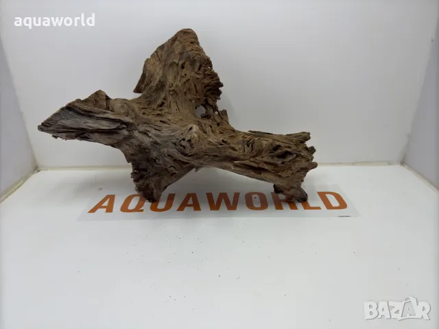 Мангров корен 41