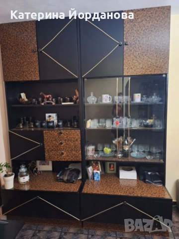 Холова секция