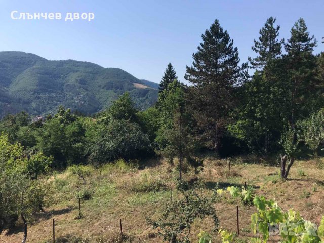 Косене на трева. Рязане на храсти и опасни дървета. Разчистване на терени., снимка 9 - Други услуги - 40197343