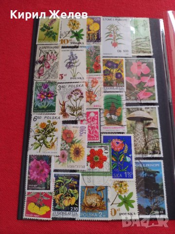 Пощенски марки смесени ЦВЕТЯ от цял свят перфектно състояние за КОЛЕКЦИЯ 22632, снимка 16 - Филателия - 40364561