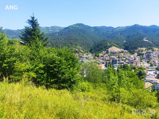 Продава парцел в гр.Девин , снимка 14 - Парцели - 50804650