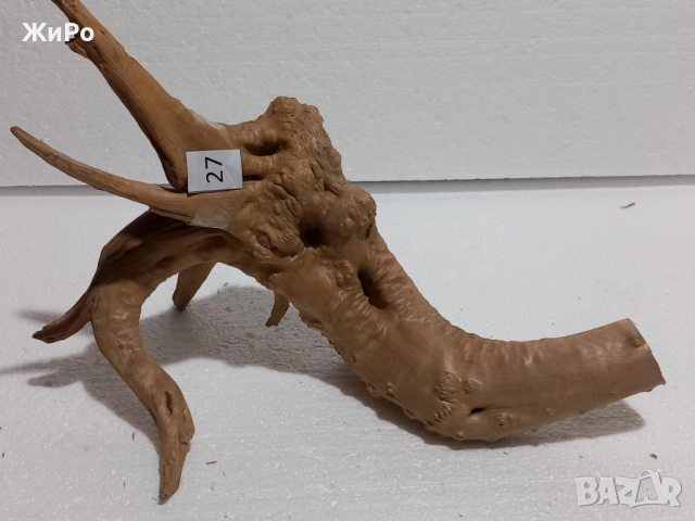 Корен от Азалия /декорация/ 27, снимка 3 - Други - 48966075