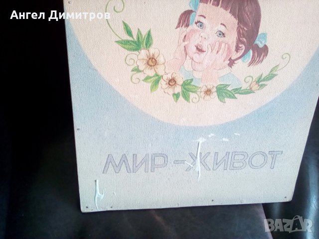 Маслена картина , снимка 4 - Картини - 28715225