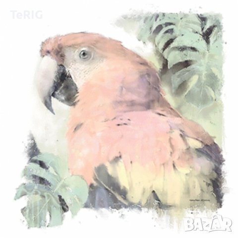 папагал - соларна тениска, снимка 2 - Тениски - 37388226