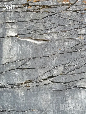 Търсене и проучване на подземни води и определяне най-подходящи места за сондаж, снимка 12 - Други услуги - 49334563