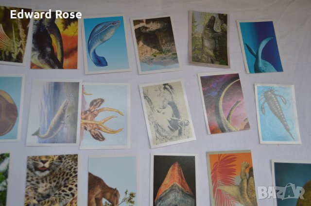 Стикери БИЛА, снимка 4 - Колекции - 27548918