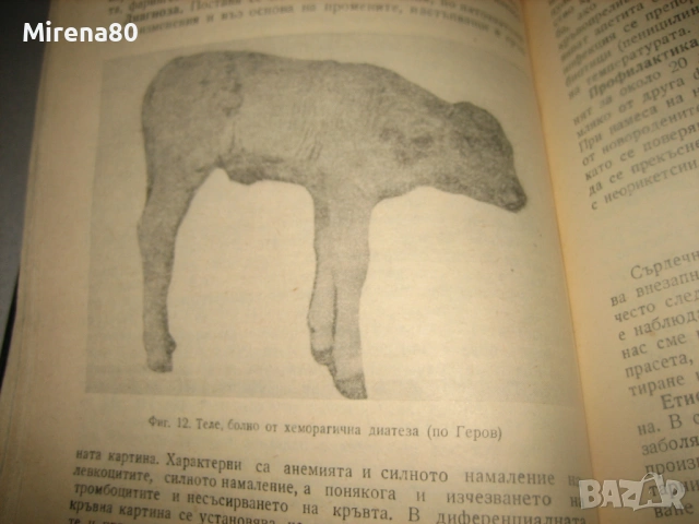 Болести по новородените и подрастващите животни - 1978 г., снимка 6 - Специализирана литература - 53565957