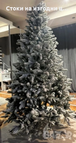 Елха заснежена 