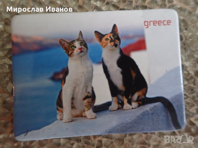магнит Гръцки Котки
