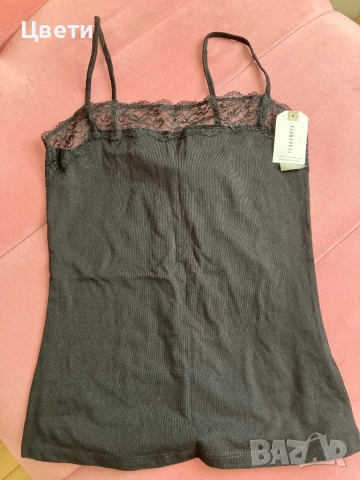 Черен потник