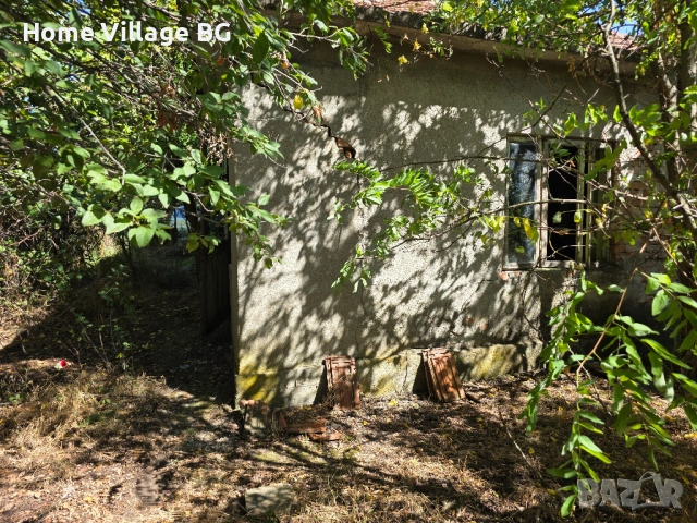 Просторна къща за ремонт или събаряне, обл.Силистра, снимка 8 - Къщи - 53231264