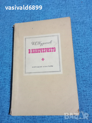 Тургенев - В навечерието 