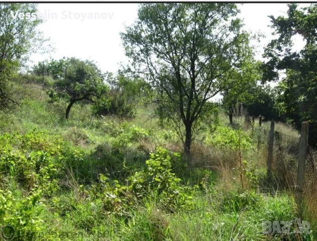 Парцел в местност Боровец Юг, Варна, снимка 8 - Парцели - 52341275