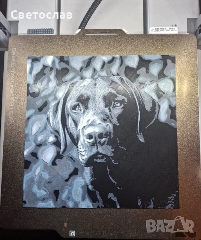 персонализирана 3D снимка/картина, снимка 8 - Декорация за дома - 50256247