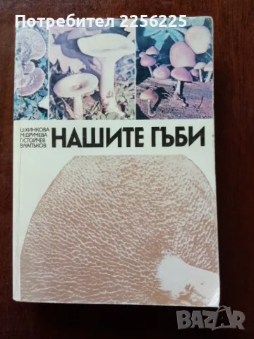 Нашите гъби