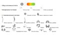 РОФЕС - метод за диагностика на здравето в домашни условия, снимка 3