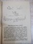 Книга "Пътя на монаха - Архимандрит Иларион" - 64 стр., снимка 4