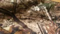 SASTA REALTREE Extreme Performance Jacket размер 2-3XL за лов яке водонепромокаемо - 889, снимка 6