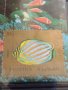 Пощенска блок марка Екзотична риба 🐟 много красива ефектна за КОЛЕКЦИЯ 17839, снимка 3